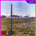 Ornamental Welded Farm Fencing